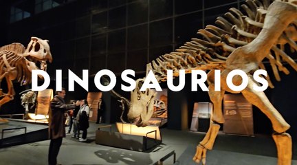 Experiencia National: Dinosaurios de la Patagonia