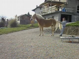 Aspirations en tout genres