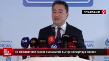 Ali Babacan'dan Meclis kürsüsünde Kürtçe konuşmaya destek