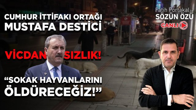 VİCDANSIZLIK! CUMHUR İTTİFAKI ORTAĞI MUSTAFA DESTİCİ “SOKAK HAYVANLARINI ÖLDÜRECEĞİZ!”