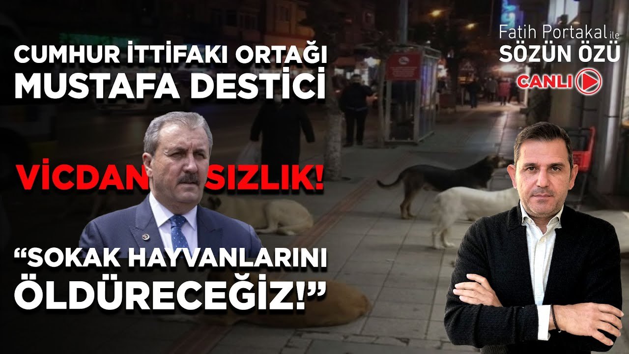 VİCDANSIZLIK! CUMHUR İTTİFAKI ORTAĞI MUSTAFA DESTİCİ “SOKAK HAYVANLARINI ÖLDÜRECEĞİZ!”