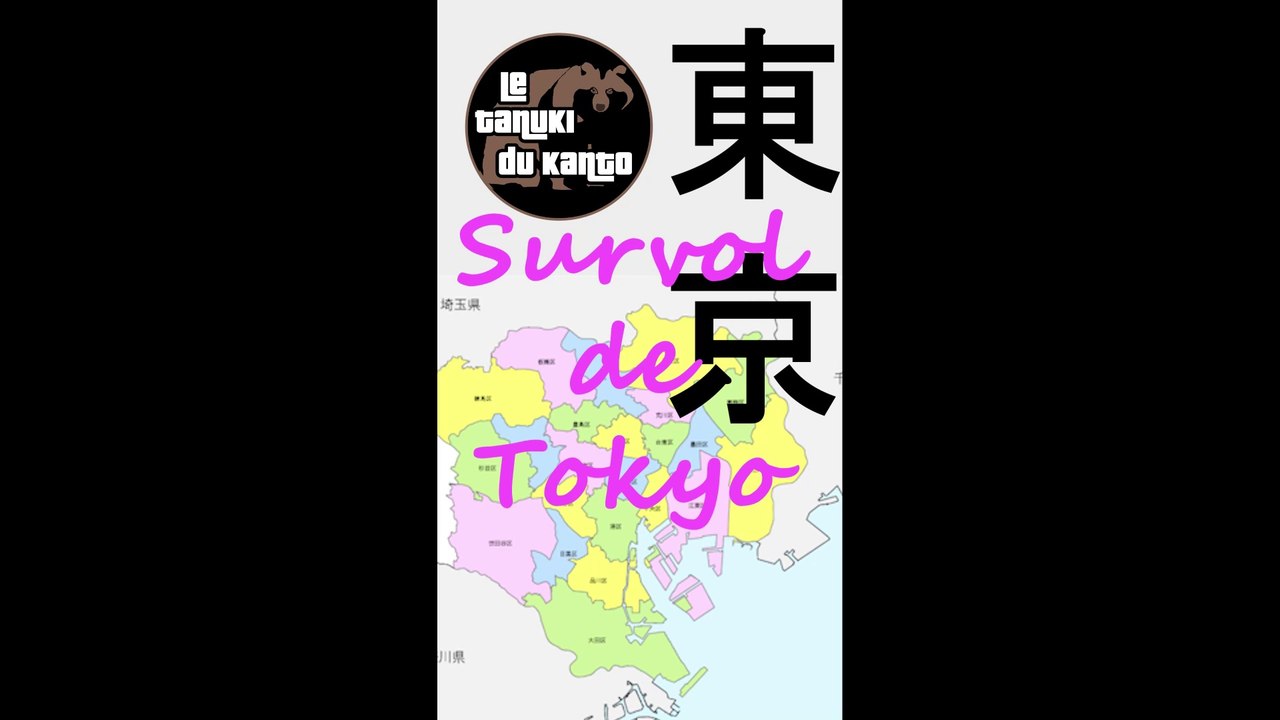 Tokyo vu du ciel, impressionnant !