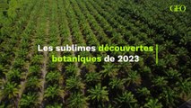 Les sublimes découvertes botaniques de 2023