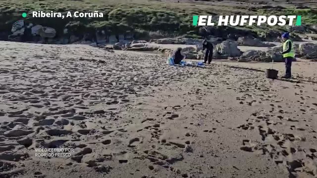 La llegada de los 'pellets' de microplásticos a Corrubedo (Ribeira, A Coruña)