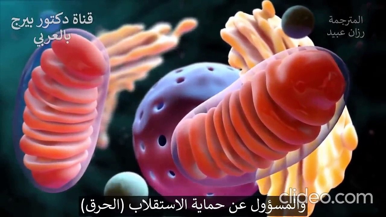 أزرق المثيلين دكتور بيرج le bleu de methylène bienfais et méfaits