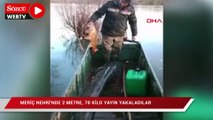 Meriç Nehri'nde iki metre, 70 kilo yayın yakaladılar