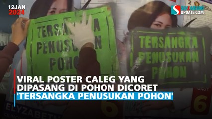 Viral Poster Caleg yang Dipasang di Pohon Dicoret 'Tersangka Penusukan Pohon'