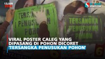 Viral Poster Caleg yang Dipasang di Pohon Dicoret 'Tersangka Penusukan Pohon'