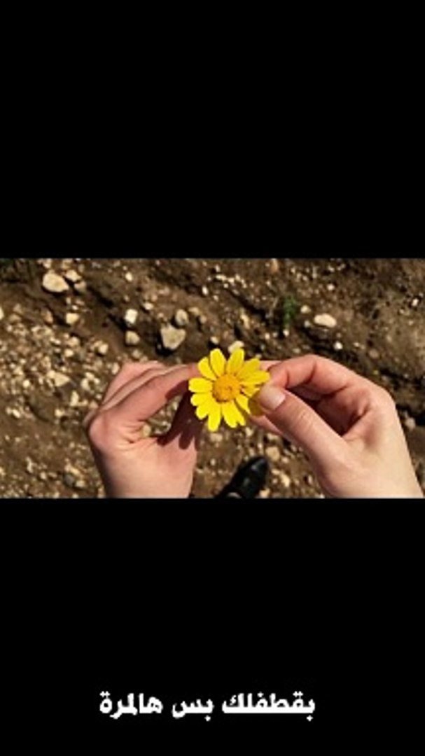 ⁣#shorts  فيروز- بقطفلك بس هالمرة - فيديو كليب video clip