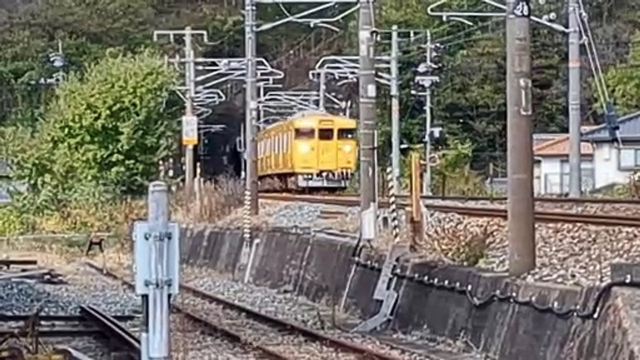 PXL_20231118_101417