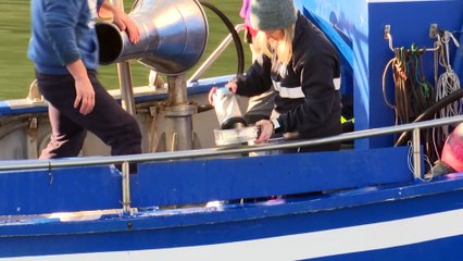 Los pélets recogidos en la costa vasca no son de Galicia