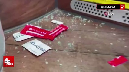 Antalya'da yol vermeyen otobüse saldırıp camını patlattı