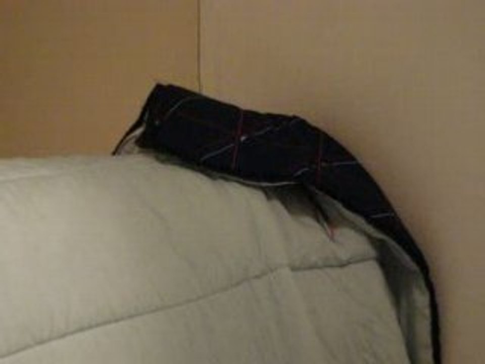 MOV00294