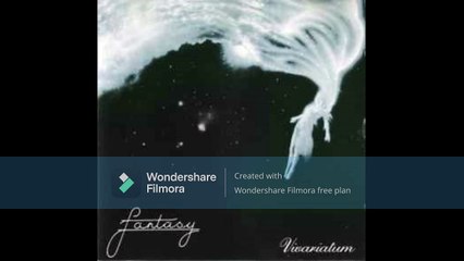 Fantasy  – Vivariatum Rock , Psychedelic Rock