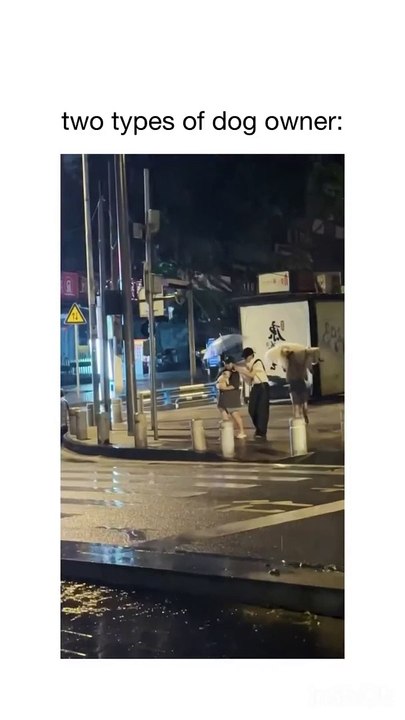 Joyful Jokes and Gags : Comedy Gold Video Collection!