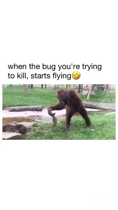 Joyful Jokes and Gags - Hilarious Moments Caught on Camera!