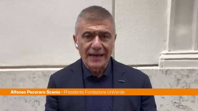 Pecoraro Meloni attacca Conte ma teme confronto e sfida Pd