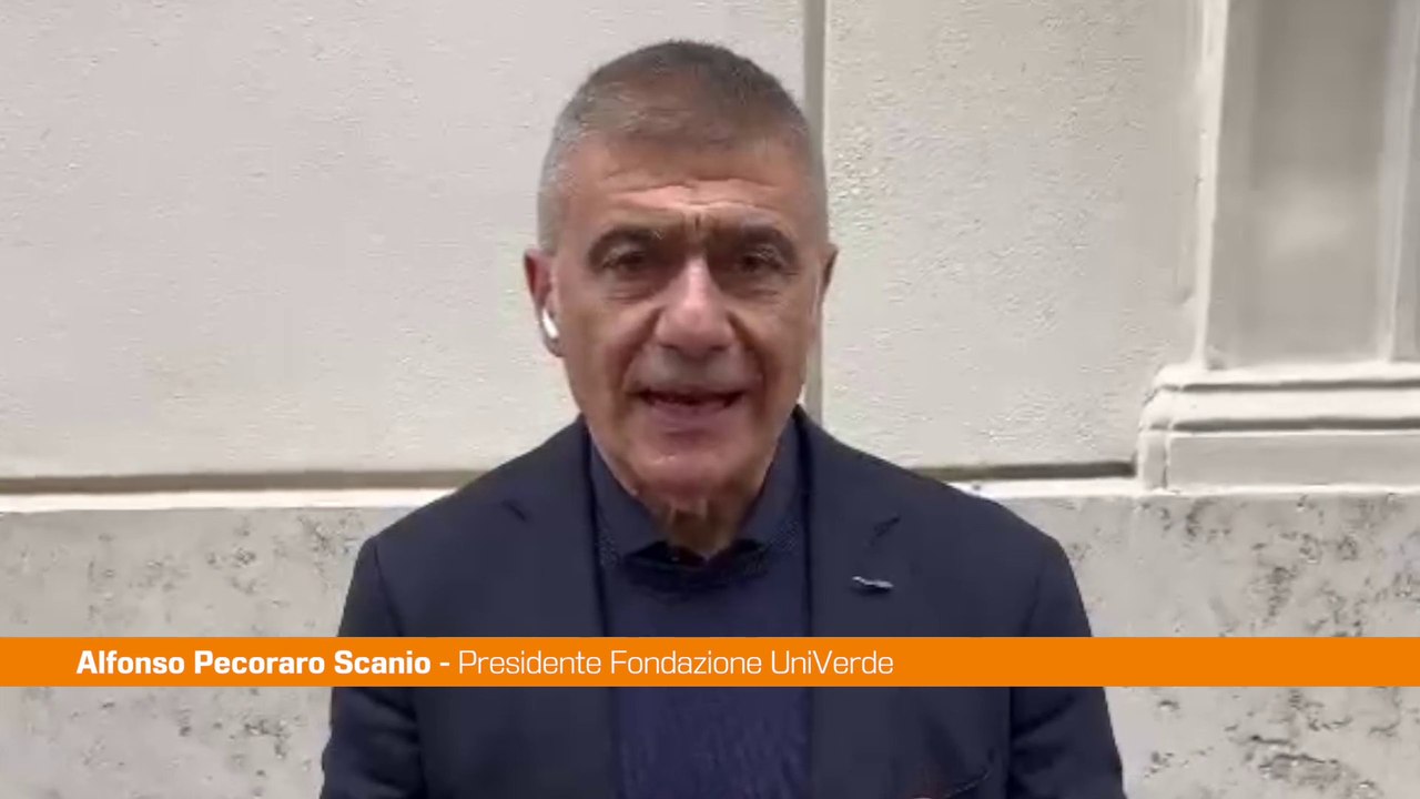 Pecoraro "Meloni attacca Conte ma teme confronto e sfida Pd"