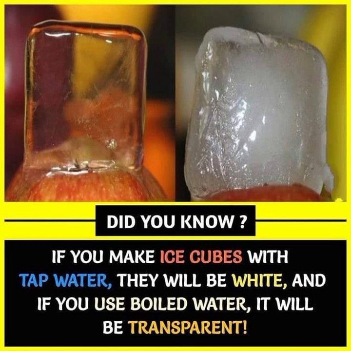 Did u know- ice