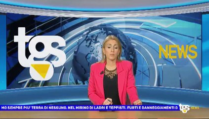 Il notiziario di Tgs edizione del 12 gennaio – ore 13.50