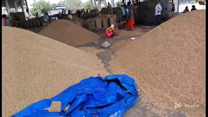 कृषि जिंसों सहित किराना व सर्राफा बाजार भाव