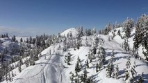 top of a snow covered mountain range and pine forests