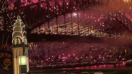Friends in awe after being treated to a once-in-a-lifetime view of Sydney Harbour fireworks