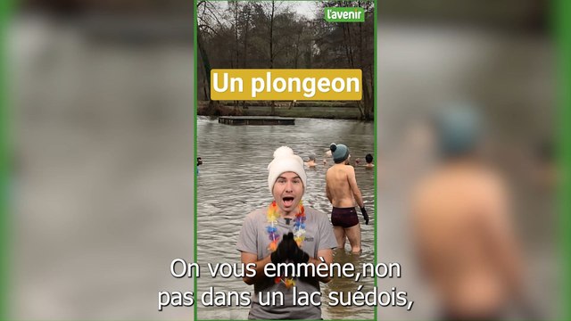 Minute locale: baignade glacée dans le lac de Renipont