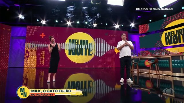 Missão impossível no Invasão Pet: Manu Karsten tenta adestrar gato fujão