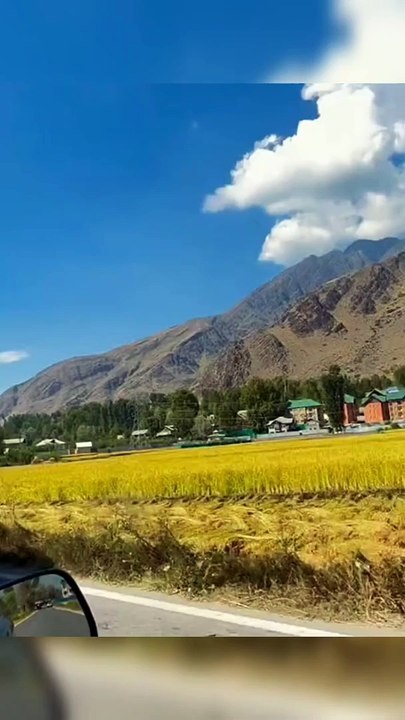 Village View