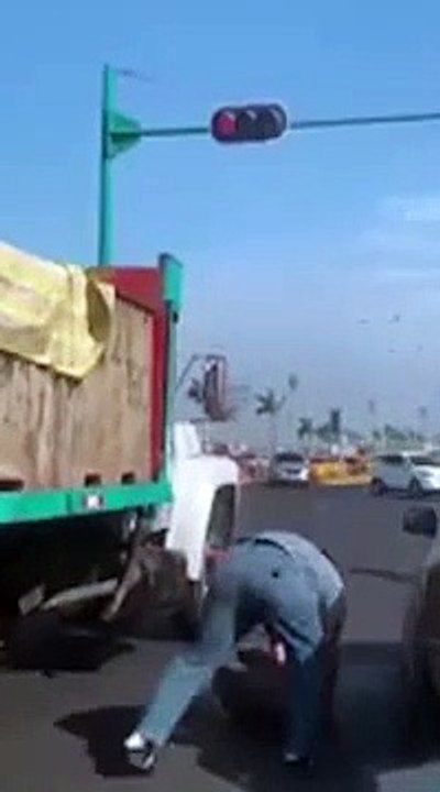 Ils profitent d'un feu rouge pour voler du poisson dans un camion