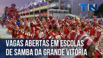 Vagas abertas em escolas de samba da Grande Vitória