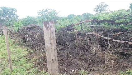 Alambrados dalaños en fincas de Palma Sola