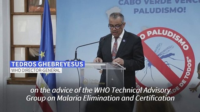 Cape Verde becomes third African country to eliminate malaria