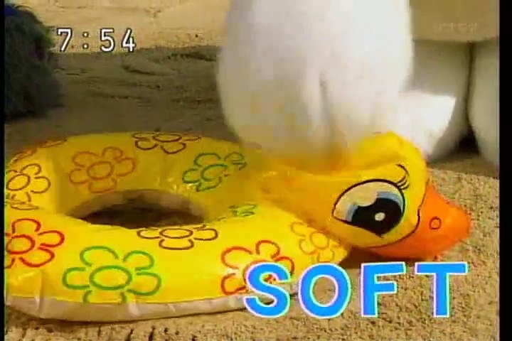 えいごであそぼ えいごであそぼ with Orton 最後のDVDとCD発売中です！ 明日から