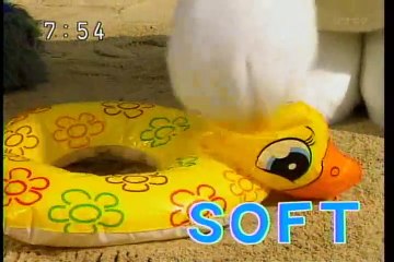 2008年9月30日　えいごであそぼ　Soft Hard　やわらかい　かたい　ジェニファー・ペリマン　ケボアンドモッチ　Jennifer Periman Kebo and Motch