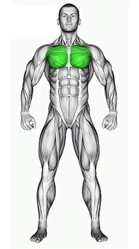 Chest Exercises at Gym #chestworkout #bodybuilding #fitness #gymmotivation #gym #shorts #short