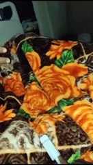 बिजली सप्लाई गुल होने से वेंटीलर बंद, कैंसर मरीज की मौत