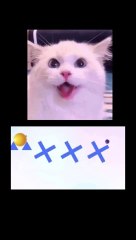 Bounce and pop #shorts #meme #bounceandpop #cat #Talking ben