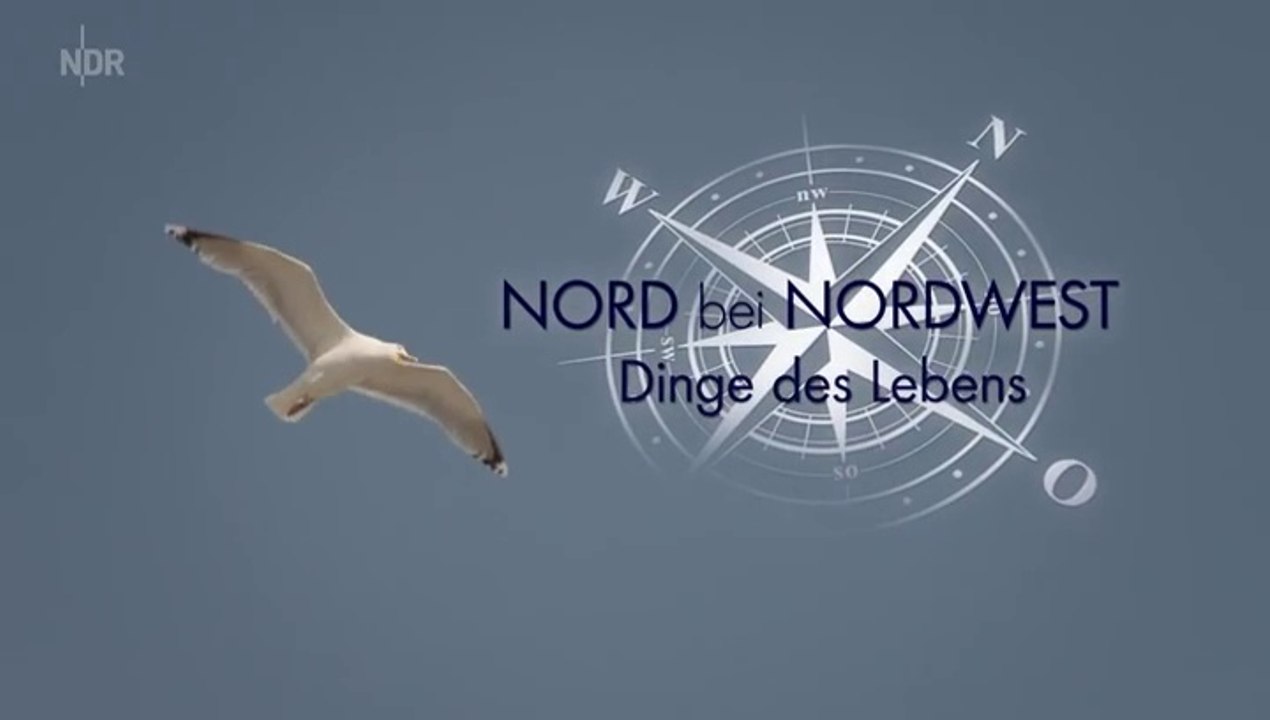 Nord bei Nordwest -09- Dinge des Lebens