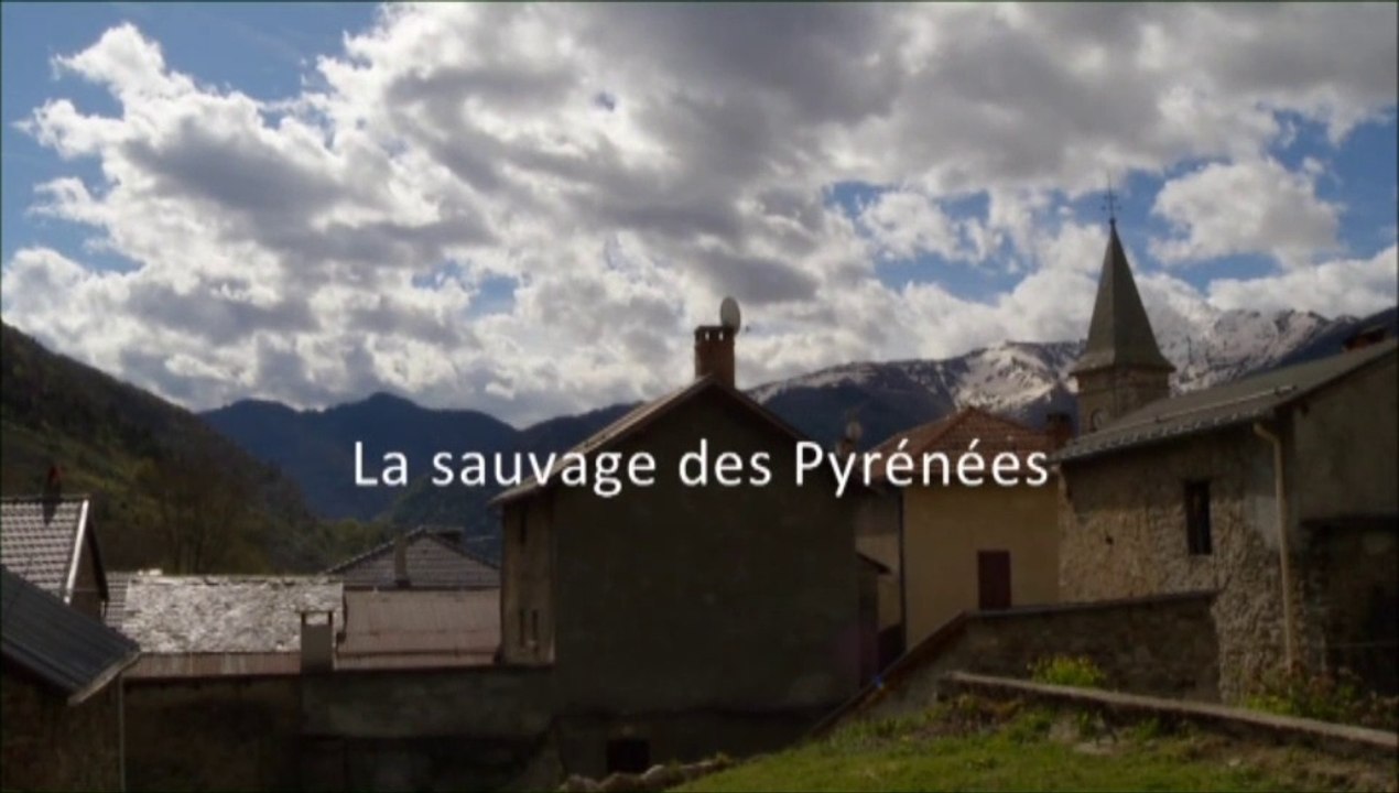 "La sauvage des Pyrénées" Un film de Bernard Jourdain - extrait
