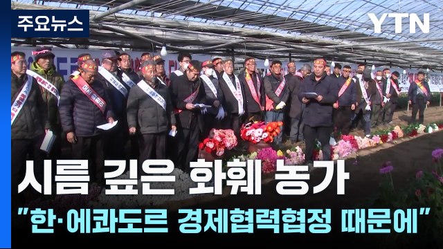 시름 깊은 화훼 농가... 한·에콰도르 경제협력협정 때문에 / YTN