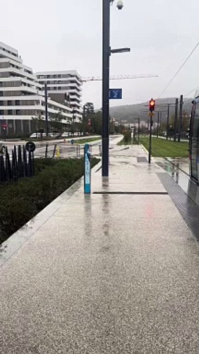 J'ai décidé de me tenir à l'écart de tous genres de problèmes