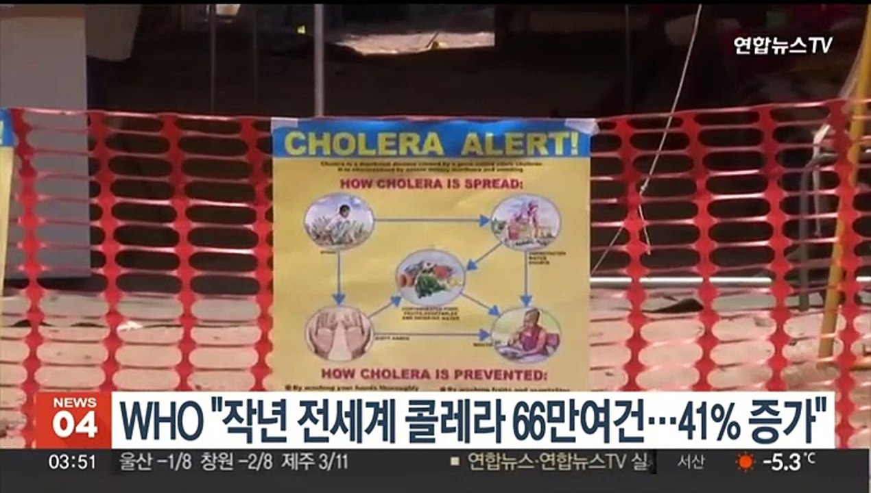 WHO "작년 전 세계 콜레라 66만여건…41% 증가"