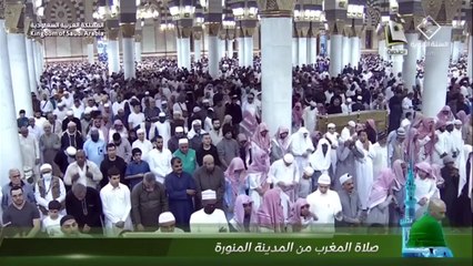 صلاة المغرب للشيخ علي الحذيفي يوم الخميس 29 جمادى الاخرة 1445