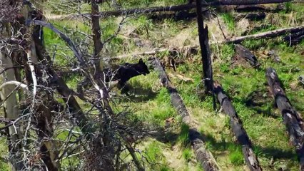 Aerial.America.S08E02.Yellowstone