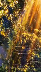 anime _weatherin 4k anime