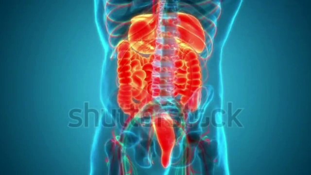 Gastroesophageal Reflux Disease (GERD) I Causes, Symptoms and Treatment