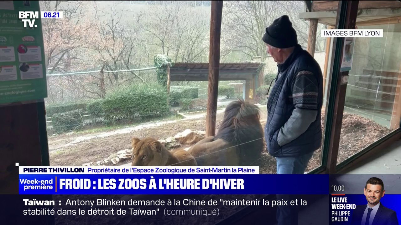 Comment les zoos s'adaptent pour protéger les animaux du froid