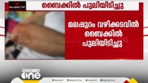 'പുലി തന്നെയാ, ഞാൻ കണ്ടതാ... ബൈക്കിൽ തട്ടി ഞാൻ തെറിച്ചു വീണു'